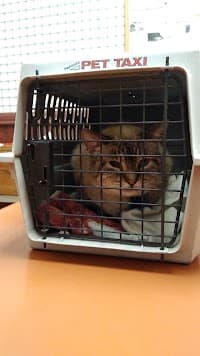 Hepler Animal Hospital