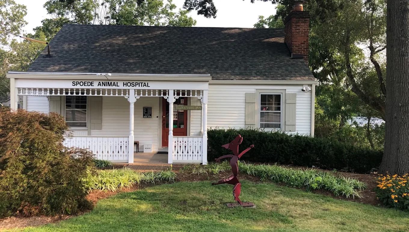 Spoede Animal Hospital